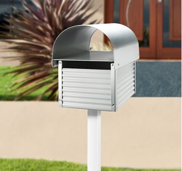 Picture of ##Carrum White