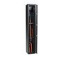 Picture of 3 Gun Safe Level 2
