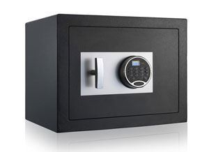 Picture for category Fire and Security Safes